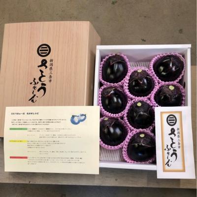 ふるさと納税 三条市 丸ナス 約3kg(8〜10個)  [さとうファーム] 【010S017】 |  | 01