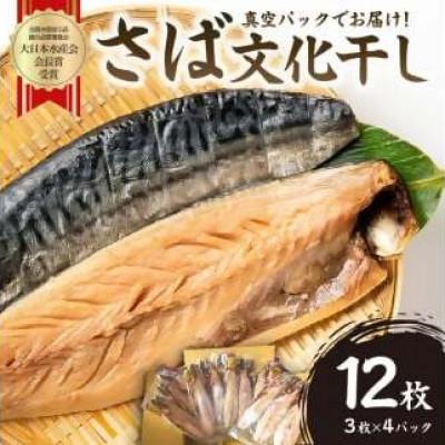 ふるさと納税 南房総市 小分け　さば　文化干し　3枚入り×4パック　真空パック　mi0012-0104