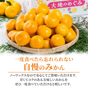 大鋸農園の甘果坊 １０ｋｇ　みかん 柑橘 黒酢みかん 温州みかん 完熟みかん 甘熟みかん 極甘みかん 国産 佐賀県産 太良町 N44