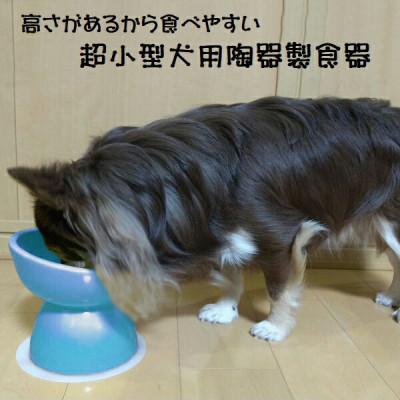 ふるさと納税 奈良市 ペット用食器 超小型犬種用 陶器製食器 ミント(ブルー) 9-057 53622-9-CHOB1