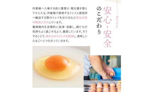 たまごかけご飯セット 卵10個入り ／ たいまのけはやたまご 卵 たまごかけご飯 おたまはん お米 生卵 奈良県 葛城市【tegg007】_イメージ5