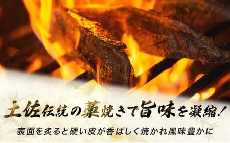【 6回 定期便 】かつおのたたき 2節セット 100％わら焼き 計600ｇ～800g ( 塩 ・ タレ 付き ) カツオのたたき 鰹 カツオ たたき 海鮮 父の日 冷凍 送料無料 高知県 室戸市