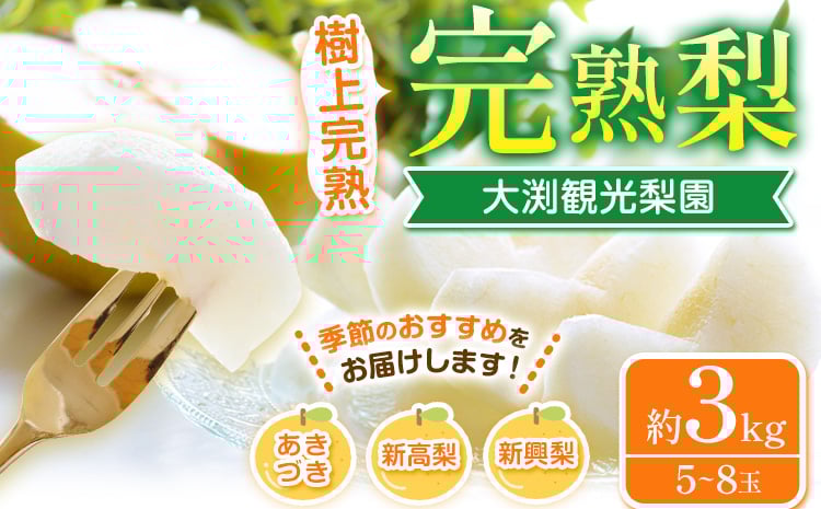 
            大渕観光梨園 完熟梨 (あきづき 新高梨 新興梨 のいずれか) 秀品 約3kg (5～8玉) 熊本県長洲町産 《9月上旬-12月中旬頃出荷》
          