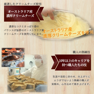 【定期便-6回お届け】バスクチーズケーキ ～四万十の米粉入り～ ／Sbmu-B59