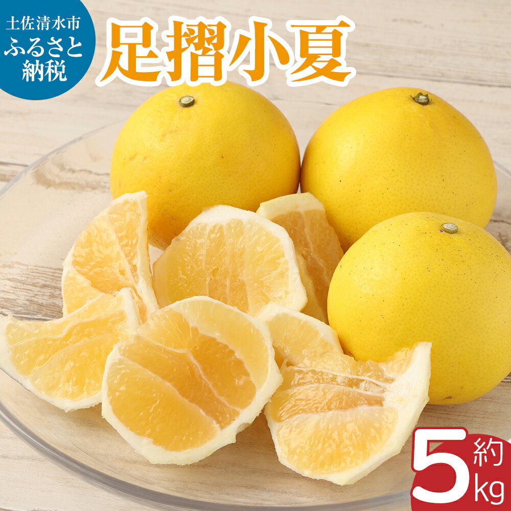 【ふるさと納税】【令和8年発送】小夏 早川農園の足摺小夏（5kg）日向夏 みかん ニューサマーオレンジ 柑橘 フルーツ こなつ 果物 特産 5キロ S～Lサイズ混合 美味しい ふるさとのうぜい 故郷納税 返礼品 高知 土佐清水市 【R00397】
