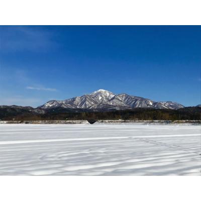 ふるさと納税 上越市 【毎月定期便】食味鑑定士厳選 上越産こしひかり[5kg×6袋]全3回 |  | 01