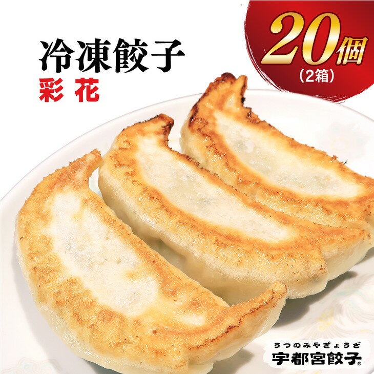 【ふるさと納税】【彩花】餃子 10個入り×2箱｜餃子 ぎょうざ ギョウザ ギョーザ 冷凍食品 冷凍餃子 惣菜 夜ご飯 おかず おつまみ 手軽 時短 お取り寄せ グルメ 送料無料 栃木県 宇都宮市