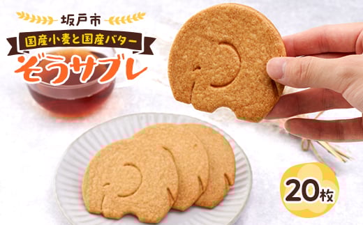 
ぞうサブレ　20枚入【1280665】
