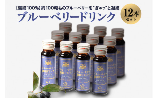 濃縮100％ブルーベリードリンク ブルーベリー ブルーベリー飲料 フルーツ 果物 フルーツジュース ジュース ビタミンE アントシアニン 栄養 ギフト 贈り物 茨城県産 人気 プレゼント セット ドリンク 濃厚 濃縮 9-E