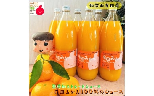 【数量限定】【大人気】有田みかん100％のジュース1,000ml×2本セット　※着日指定不可【tkh013】