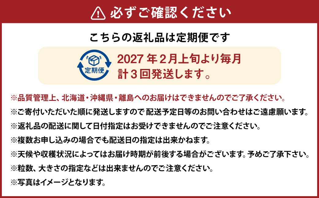 【3ヶ月定期便】あまおう2パック×3回