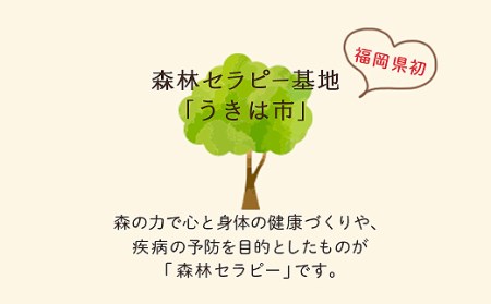 P770-01 【参加型体験】リフレッシュ&デトックス～心癒されるうきはの森林セラピー～