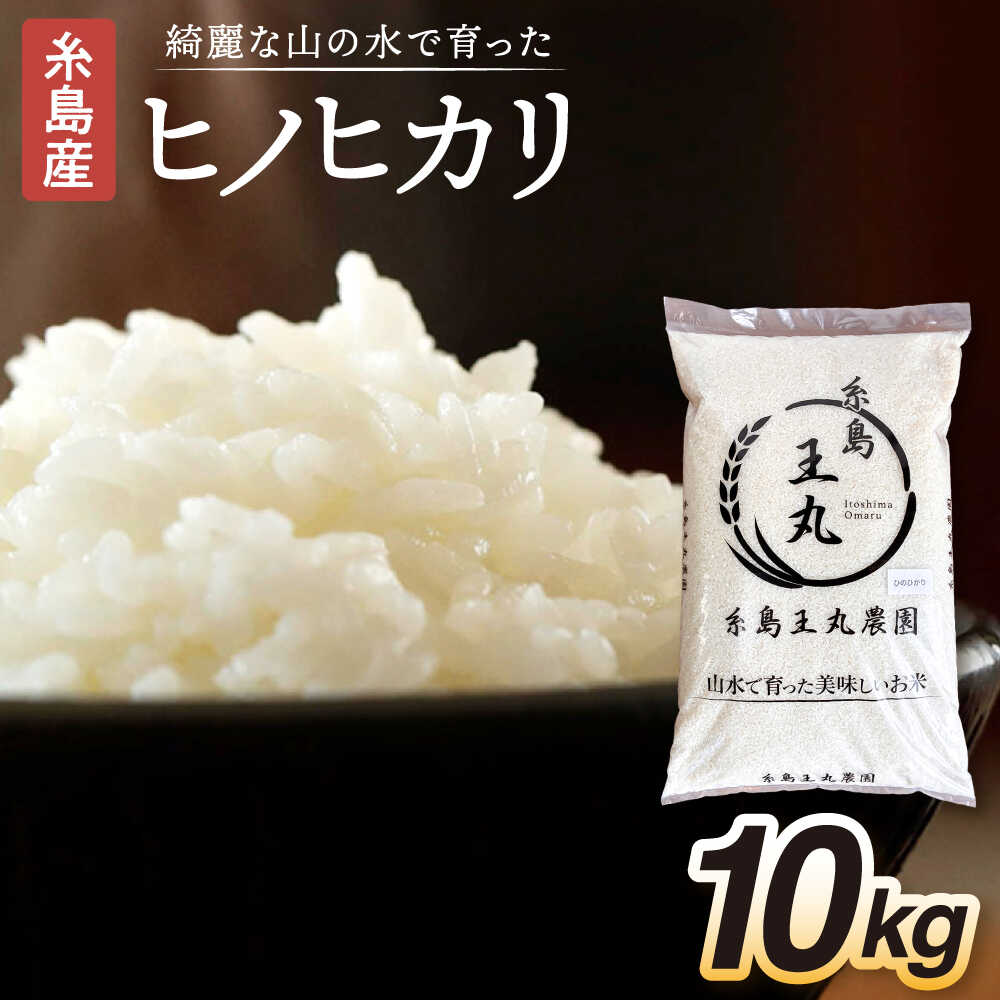 【ふるさと納税】糸島産 ヒノヒカリ 10kg 糸島市 / 糸島王丸農園 ( 谷口汰一 )【いとしまごころ】 [AAZ014] 常温 27000円 2万7千円