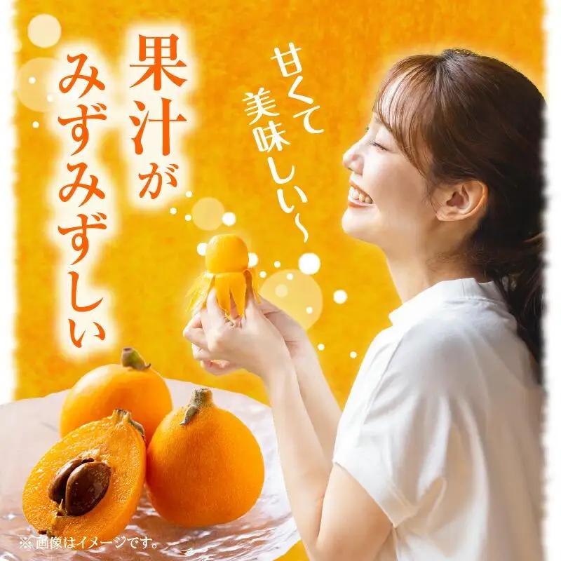 茂木びわ 約1kg (約250g×4パック)【2026-5月中旬～2026-6月中旬配送】| びわ