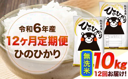 令和6年産 【12ヶ月定期便】 無洗米 ひのひかり 10kg 《お申し込み月の翌月から出荷開始》 熊本県産 無洗米 精米 ひの 送料無料 熊本県 山江村 SDGs 米 コメ こめ 国産