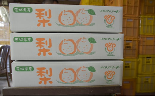 【先行予約】小林果樹園の梨 食べ比べ5～8玉 約3kg