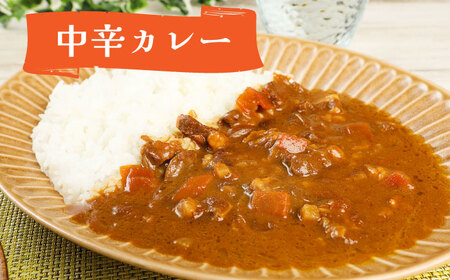 航空自衛隊 築城基地 名物 隊員食堂 カレー ( 中辛 + 牛すじ 各3個）《築上町》【NPO法人築上町観光協会】 [ABAX003] 13000円 