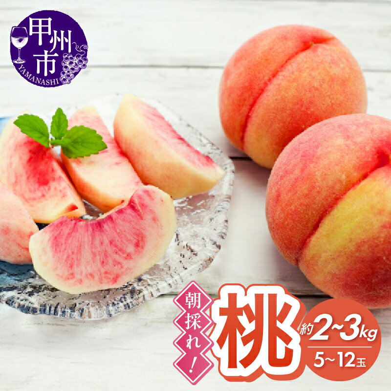 【ふるさと納税】 桃 選べる内容量 約2kg 約3kg 5～12玉 2025年発送 もも 人気 甲州市産 果物 フルーツ 朝採れ 甘い 果実 くだもの ジューシー 産地直送 新鮮 山梨県 甲州市 数量限定 期間限定 贈答 ギフト 家庭用 6月 7月 8月 発送 （RC）