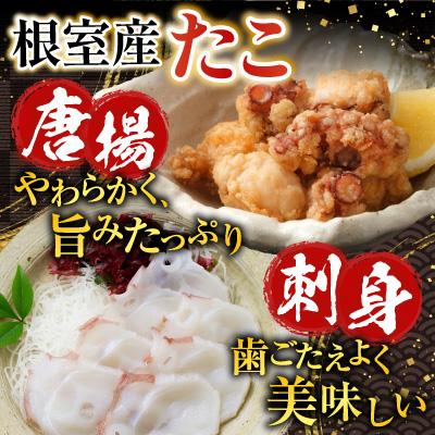 ふるさと納税 根室市 【北海道根室産】さんま・さば・唐揚げ用たこ・たこ刺身セット A-19014 |  | 01
