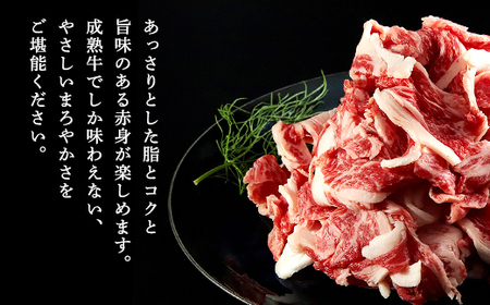 経産但馬牛訳あり 切落し肉 500g 兵庫県 朝来市 AS2BB17 | 経産但馬牛 但馬牛 訳あり 訳アリ 切り落とし 牛切り落とし 切り落とし肉 但馬牛 訳あり 切り落とし 但馬牛 訳あり 切り落