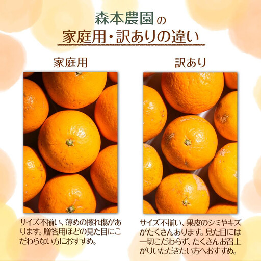 家庭用 森本農園の手選別 甘夏みかん 約4.5kg 和歌山県産 サイズ混合 ［北海道・沖縄・離島配送不可］［2026年4月上旬から順次発送］［RN69］