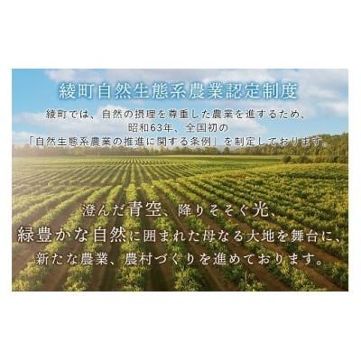 ふるさと納税 綾町 【毎月定期便】綾町旬野菜ギフト Sサイズ全3回 |  | 02