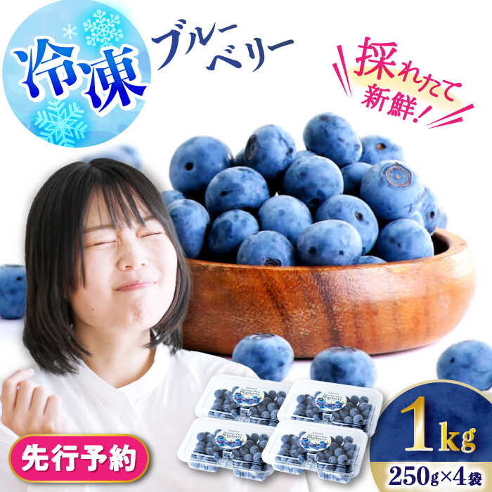 【ふるさと納税】【2026年7月上旬頃より順次発送予定】冷凍ブルーベリー 1kg（250g×4袋）/ ベリー べりー ブルーベリー ぶるーべりー 冷凍 小分け 果物 くだもの フルーツ ふるーつ 先行予約/ 大村市 / おおむら夢ファームシュシュ[ACAA004]