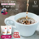 【ふるさと納税】中煎りコーヒー豆250g×2袋 (豆・粉選べます) エルポルベニール農園パカマラ種ナチュラル《糸島市》【COFFEE UNIDOS】珈琲/カフェ/コーヒー粉 [AQF004] 15000円 常温