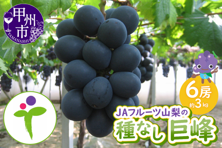 JAフルーツ山梨 甲州市産種なし巨峰6房【100】【2026年発送】C-107 巨峰 フルーツ