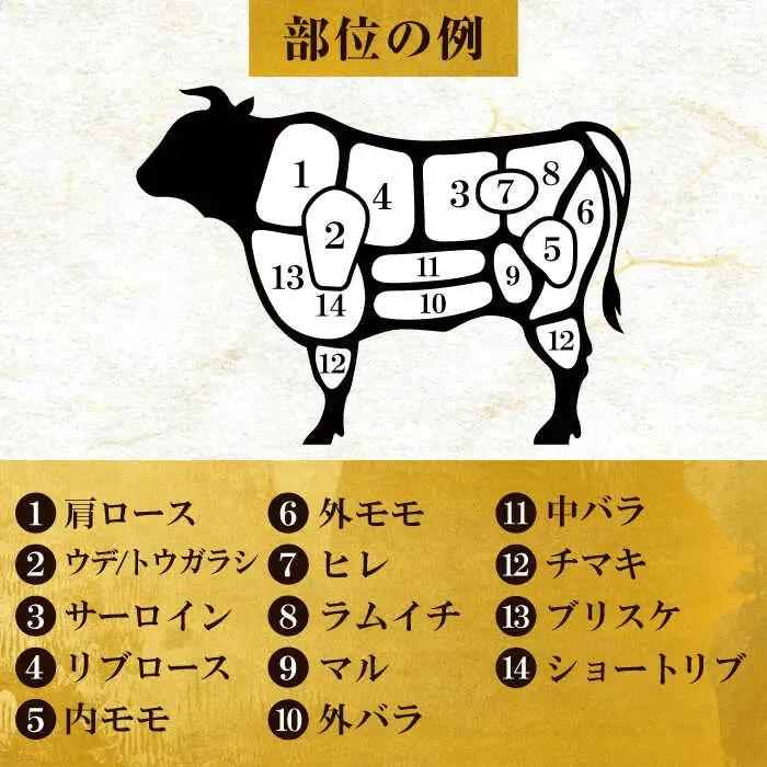 【牛一頭丸ごとオーダー！】 博多和牛 一頭食べ尽くしセット VBB082 1000万以上