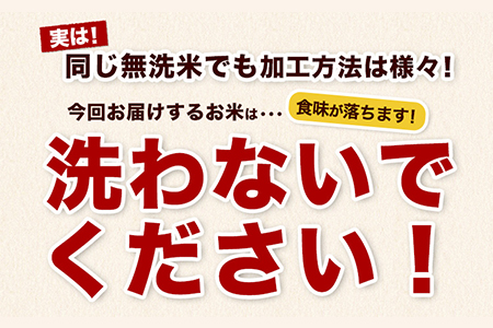 熊本県産 さとほまれ 無洗米 ご家庭用 15kg 5kg×3袋 《11月-12月より出荷予定》熊本県 玉名郡 玉東町 米 こめ コメ ブレンド米 送料無料