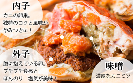 【先行予約/11月7日より順次発送】 【希望月指定可】  セイコガニ（ズワイガニのメス）中サイズ 5ハイ / 越前ガニ コッペガニ せいこ蟹 ボイル 小浜市 / まるほ商店 【配送不可地域：北海道・沖