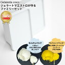 【ふるさと納税】ジェラートマエストロが作るファミリーセット 1L×2 合計2L[なんかんミルク・アルフォンソマンゴー] ジェラート アイス 大容量 ファミリーパック 添加物不使用 [Gelateria coco]【017S089】