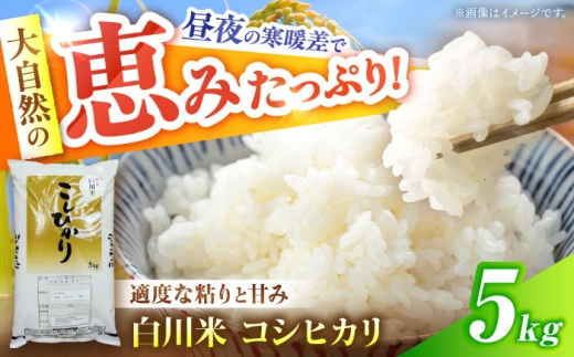 【令和7年度産】 米 コシヒカリ 5kg 国産 こしひかり 白川 岐阜県 白米 5kg 米 お米 ご飯 しんまい 家族向け 家庭用 普段使い 美味しい おいしい 自然 白川町 / 白川町農業開発 [AWAH030]