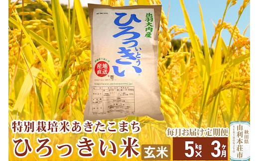 
										
										《定期便3ヶ月》【玄米】 秋田県産 あきたこまち 5kg 令和6年産 特別栽培米 ひろっきい米
									