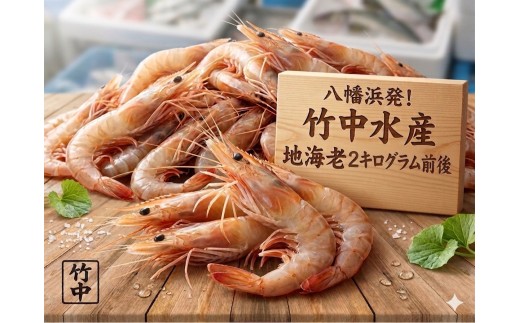 竹中水産の地海老(八幡浜産)2キロ!＜F22-267＞【1083422】 YWTM085