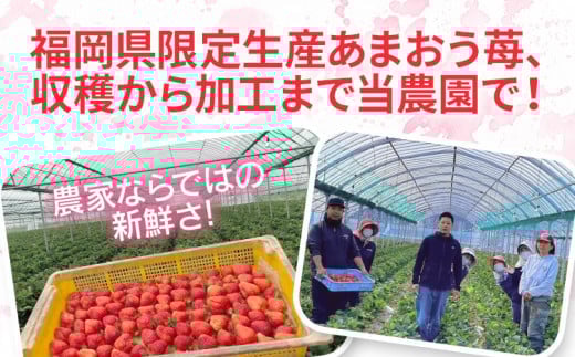 フローズンあまおう2kg(500g×4袋)　BD11