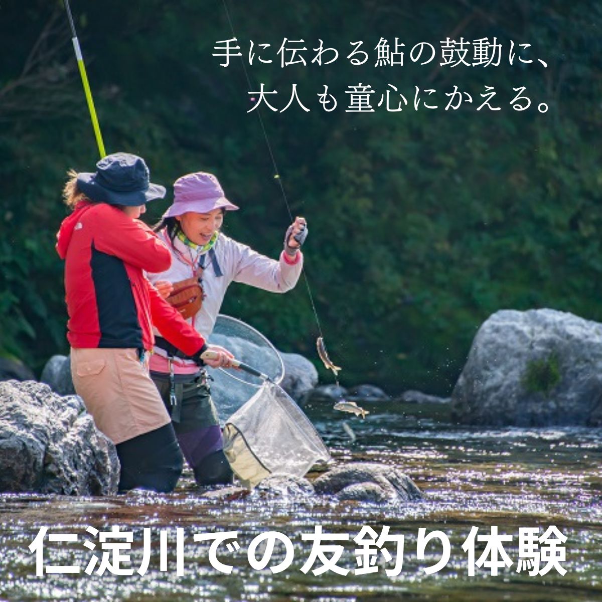 【ふるさと納税】仁淀川 の 清流 で育った 天然鮎 を 友釣り！ 高知県仁淀川町 の 絶景 仁淀ブルー で楽しむ 鮎釣り体験 【竿・仕掛けレンタル付き】 釣り好き も 初心者 も大満足の1日（大人1名様）あゆ 釣り レンタル
