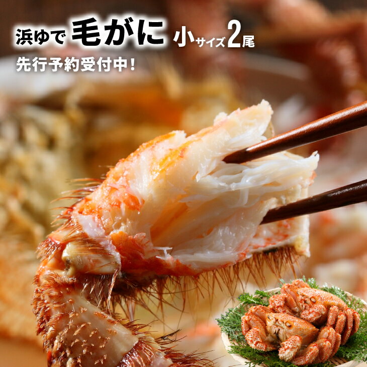 【ふるさと納税】【先行受付開始！】漁協の浜ゆで毛がに 小サイズ2尾セット※日付指定対応不可※[02-1202]離島・沖縄県発送不可※ 北海道 浦河 ふるさと納税 北海道産 北海道日高産 毛がに 毛蟹 浜ゆで 小2尾