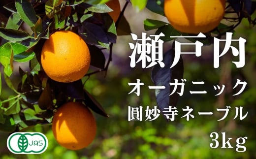 [予約] オーガニック圓妙寺ネーブル 約3kg 国産 有機JAS認証 瀬戸内 広島 大崎上島 離島 有機栽培 柑橘 果物 オーガニック フルーツ ギフト 防腐剤不使用 ワックス不使用 無添加 安全 安心 送料無料 産地直送 中原観光農園