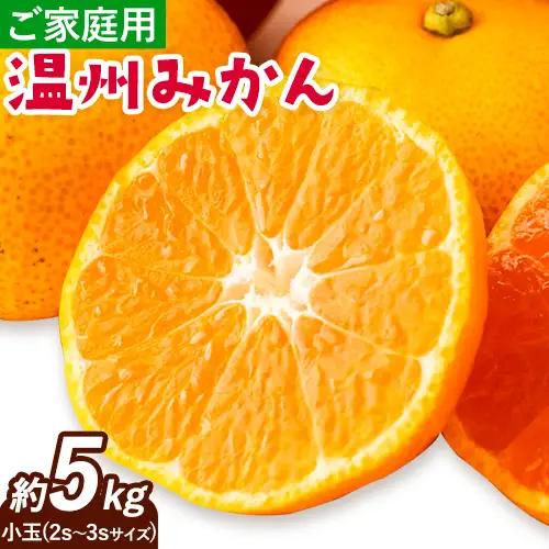 みかん 温州みかん ご家庭用 5kg 小玉 2S～3Sサイズ GOGO農園