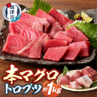 ふるさと納税 焼津市 本マグロ まぐろ 鮪 トロ ブツ 1kg(a20-493)