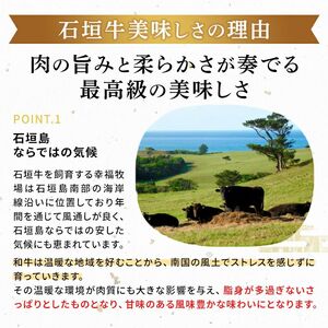 石垣牛 特選 肩ロース 焼肉 400g E-44