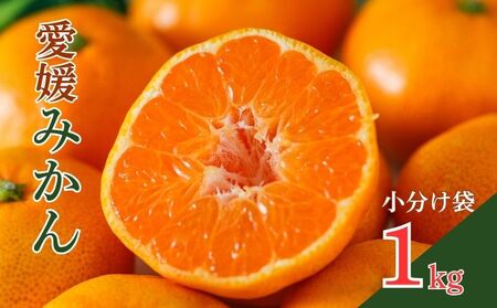 【先行予約】【発送期間：2026年10月～なくなり次第終了】愛媛みかん 約1kg みかん
