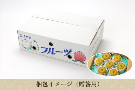 【2026年先行予約】しらい農園の和梨 あきづき 秀品3kg（5～9玉）《9月下旬～順次発送》 果実 フルーツ 贈答 ギフト 甘くてジューシーな梨 なし 秋月 加茂市 しらい農園
