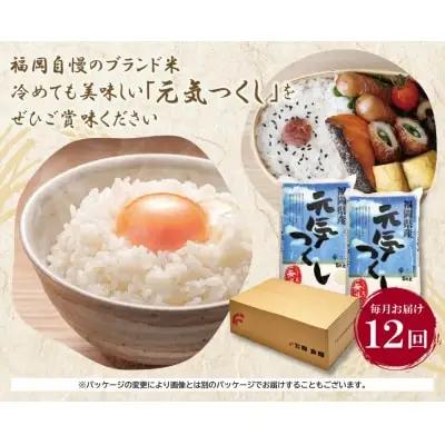 Y17-86 無洗米 元気つくし10kg定期便(毎月・年12回)