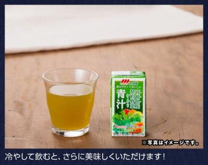 『Oh！宮崎　青汁』125ml×48本セット【野菜飲料 健康飲料 ケール 緑黄色野菜 健康 美容】[F3013]