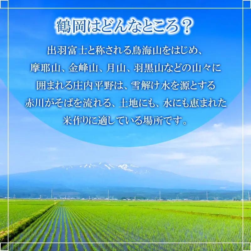 【令和8年産】特別栽培米つや姫 5kg×12ヶ月定期便