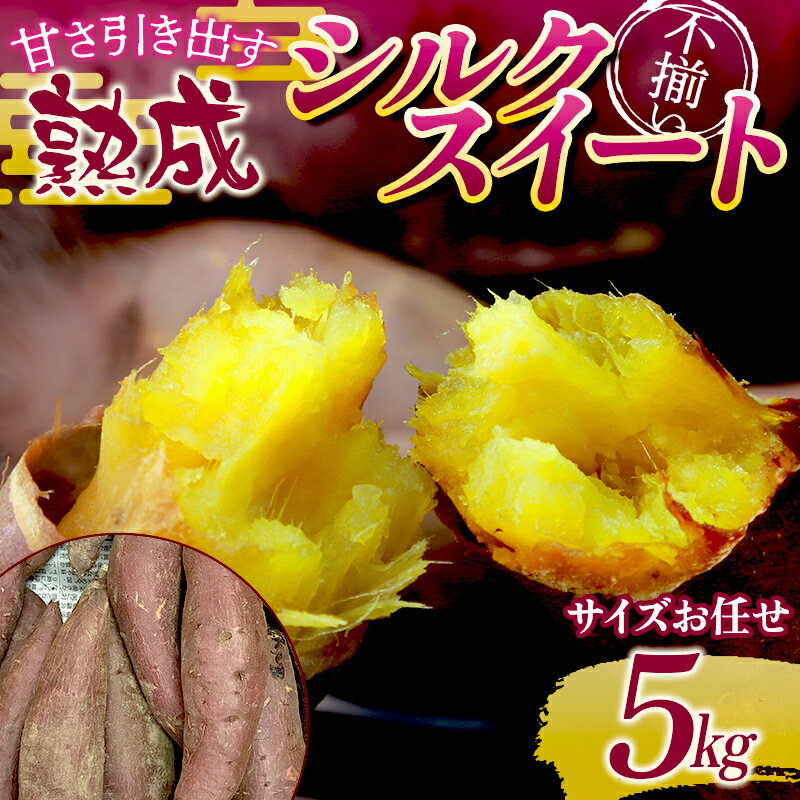【ふるさと納税】甘さ引き出す 不揃い 熟成シルクスイート 5kg さつまいも サイズお任せ サツマイモ さつま芋 甘い おやつ 食品 F21T-473