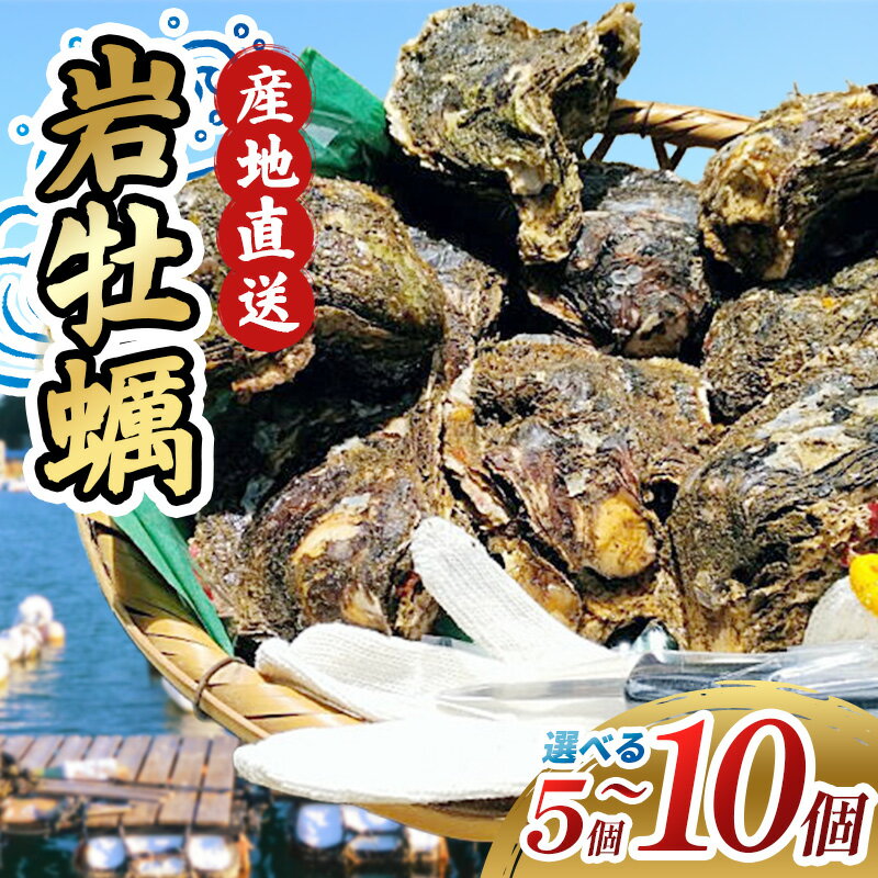 【ふるさと納税】 【選べる容量】牡蠣 岩ガキ 5ケ～10ケ入 カキ 岩牡蠣 いわがき 殻付き牡蠣 岩牡蠣セット 国産 海鮮 魚介類 貝 水産 冷蔵 フライ グラタン おかず 炊き込み ご飯 BBQ ギフト お中元 伊勢 志摩 三重県 南伊勢